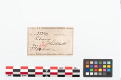 Etikett zu Bronzeknotenarmreif (NHMW-PRAE-025240)